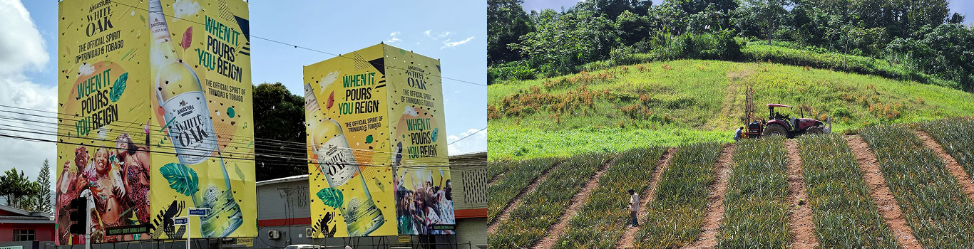 Imaging and Agri Division