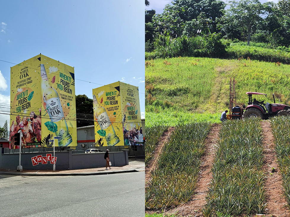 Imaging and Agri Division